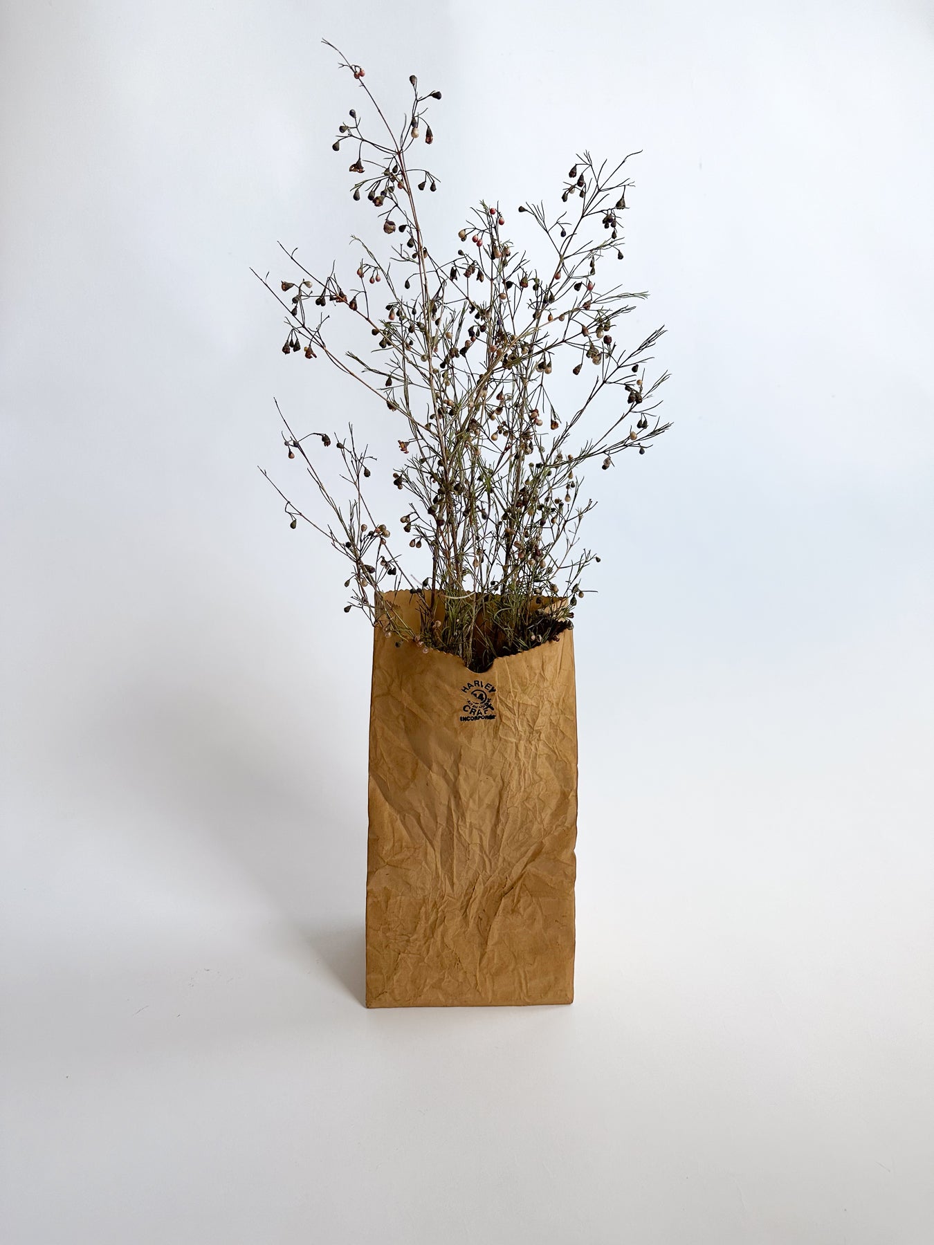 Artist Michael Harvey, Paper Bag Ceramic Vase