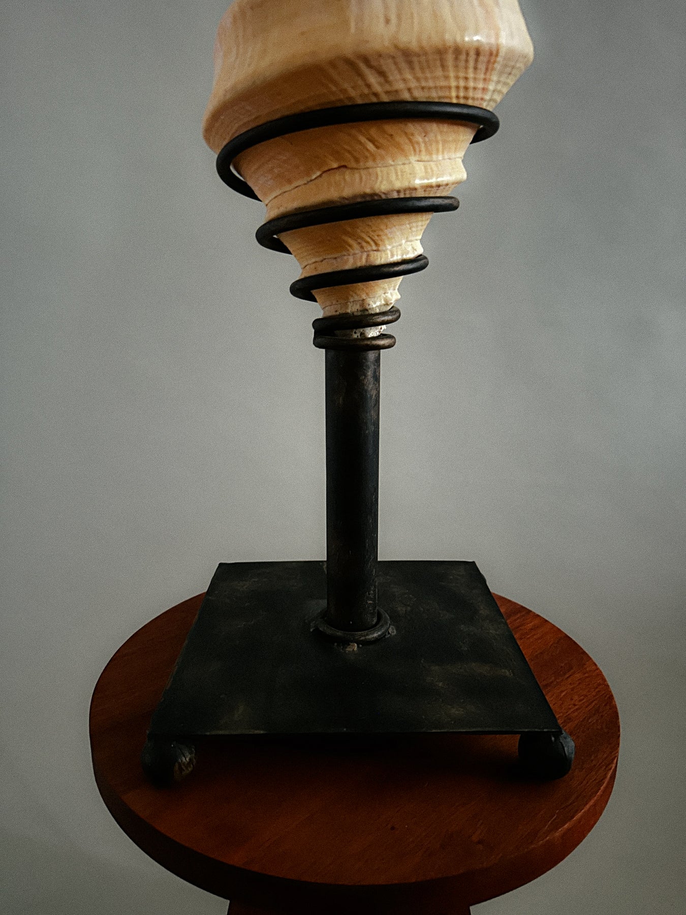 Rare Trumpet Seashell Lamp on Metal Patina Base
