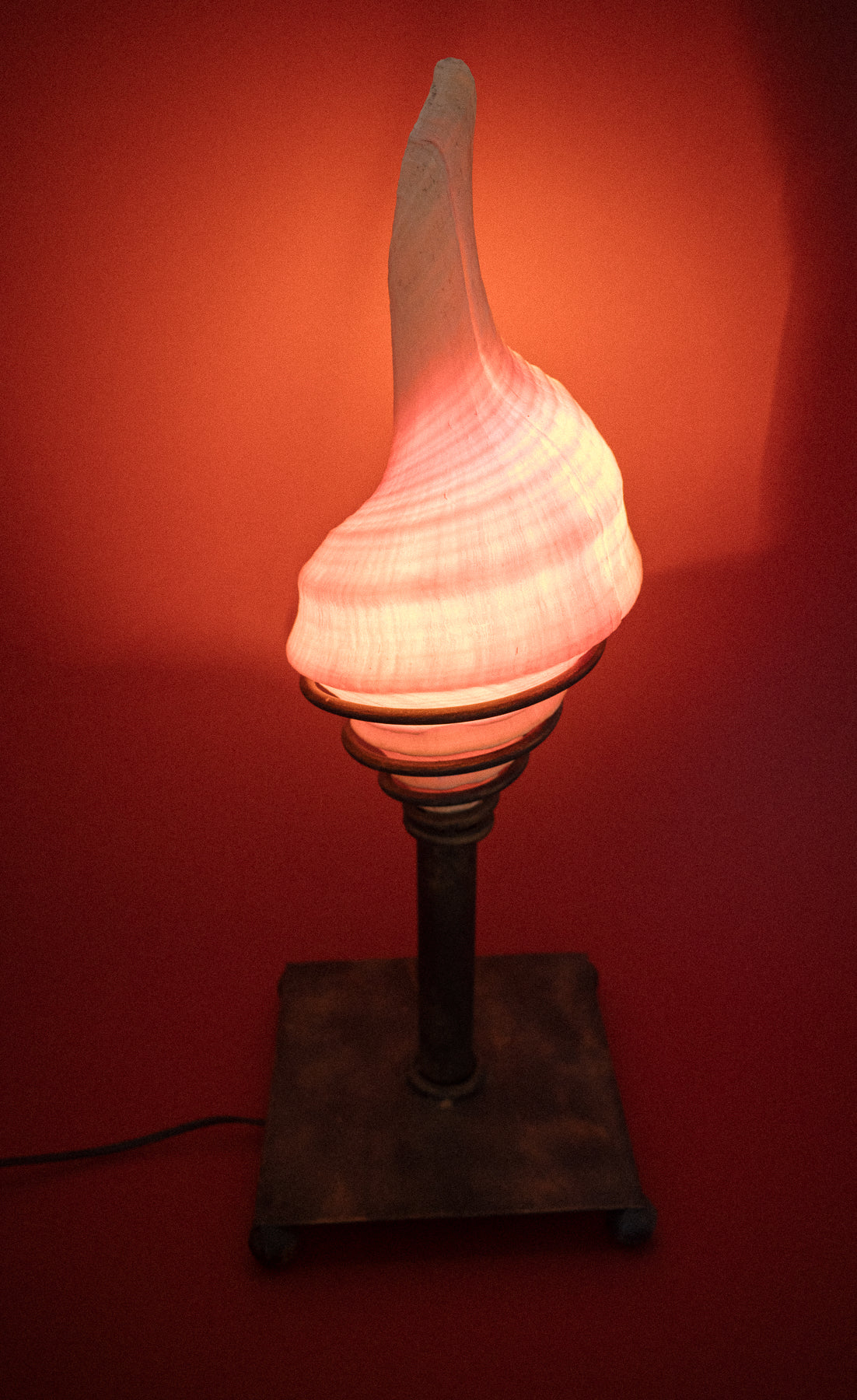 Rare Trumpet Seashell Lamp on Metal Patina Base