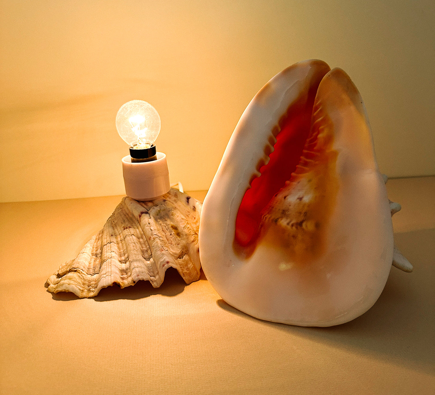 FRENCH SEA SHELL LAMP